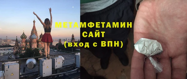 гидра Костерёво