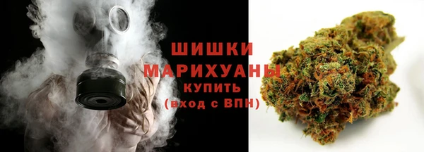 гидра Костерёво