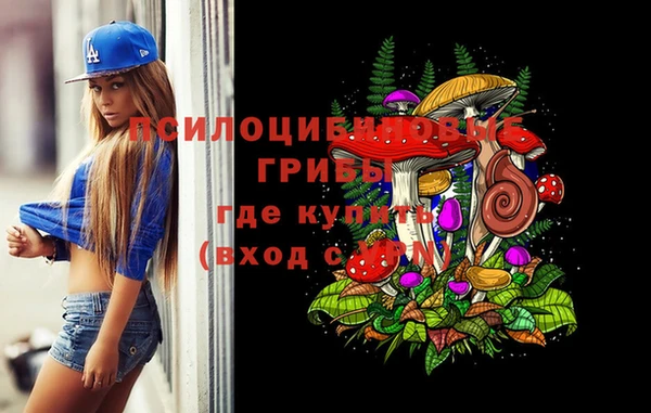 стафф Коряжма