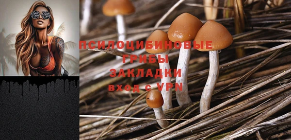 стафф Коряжма