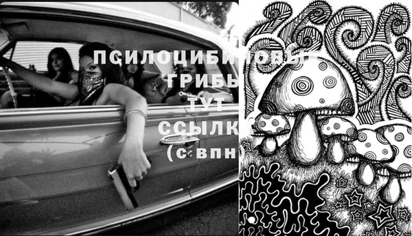 гидра Костерёво
