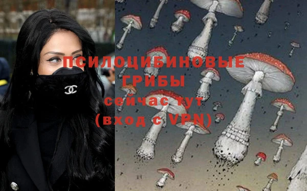 дурь Щигры
