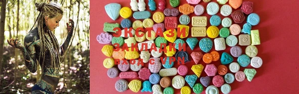 стафф Коряжма