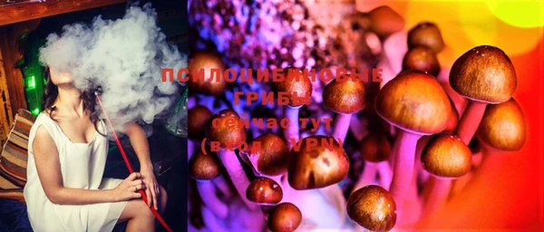 стафф Коряжма