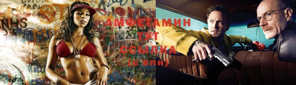 стафф Коряжма