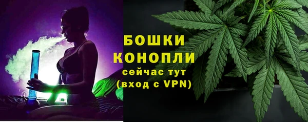 стафф Коряжма